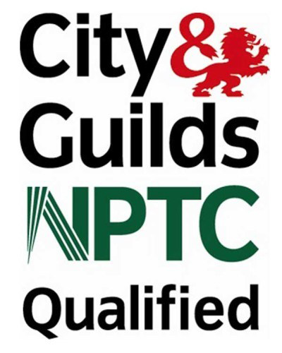 Tree Surgeons in West Sussex city and guilds NPTC qualifed